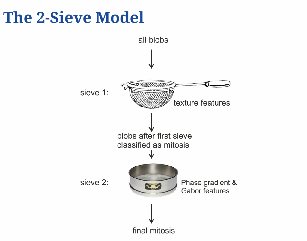2-Sieve Model